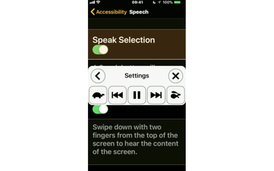 Iphone accessibility screenshot speak selection